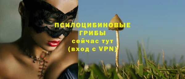 твердый Майский