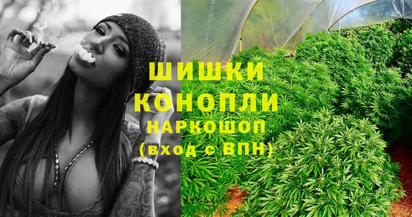 твердый Майский