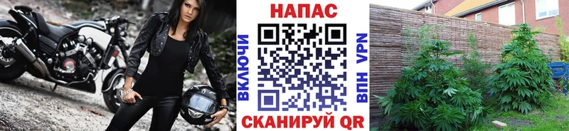 Конопля Amnesia Можайск